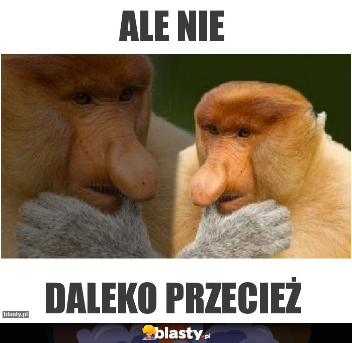 Ale nie