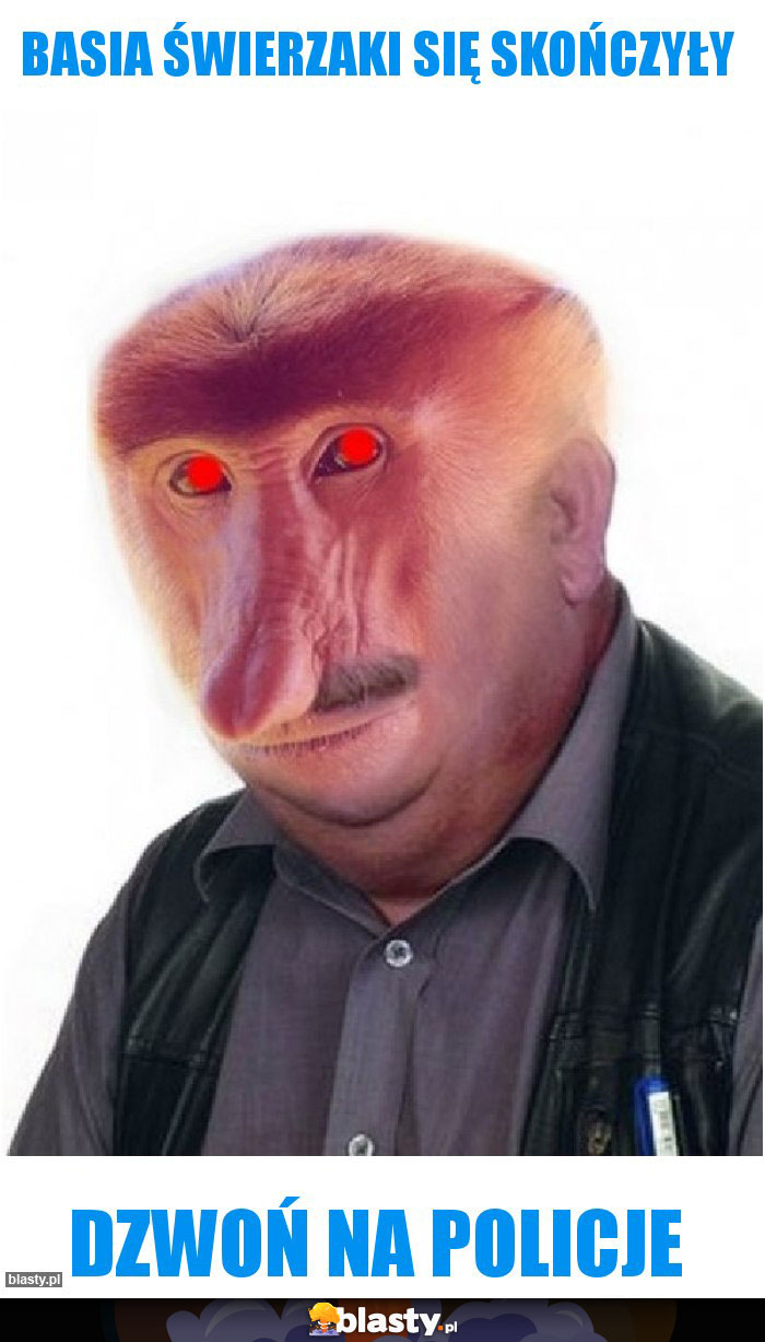 Basia świerzaki się skończyły