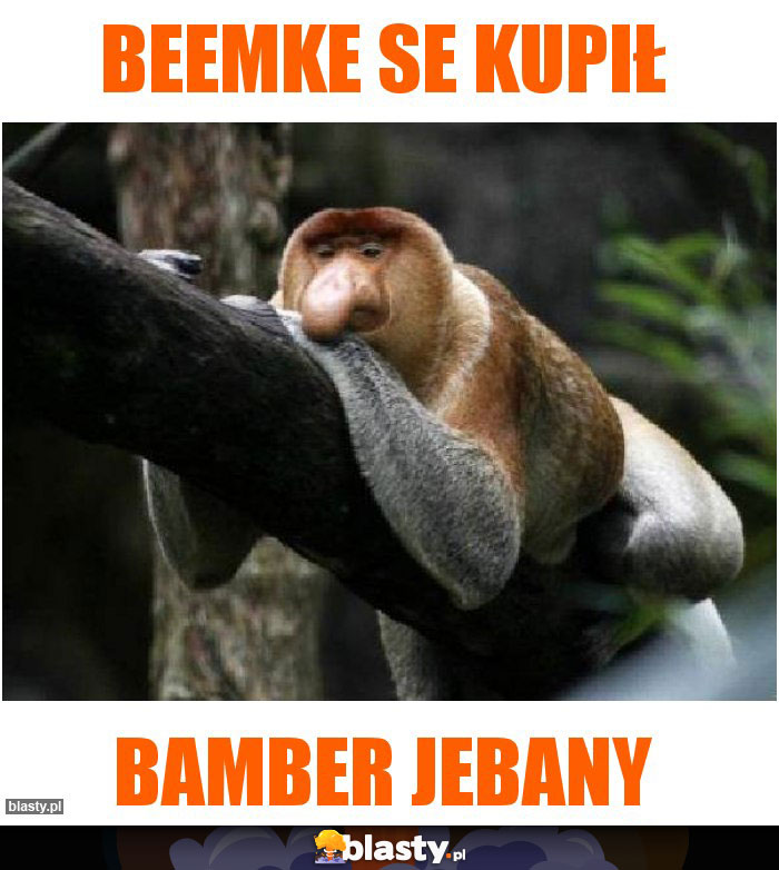 Beemke se kupił