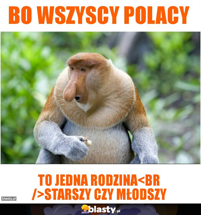 Bo wszyscy polacy