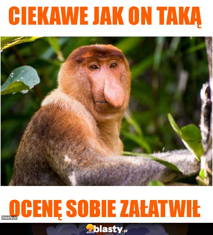 Ciekawe jak on taką Ciekawe jak on taką
