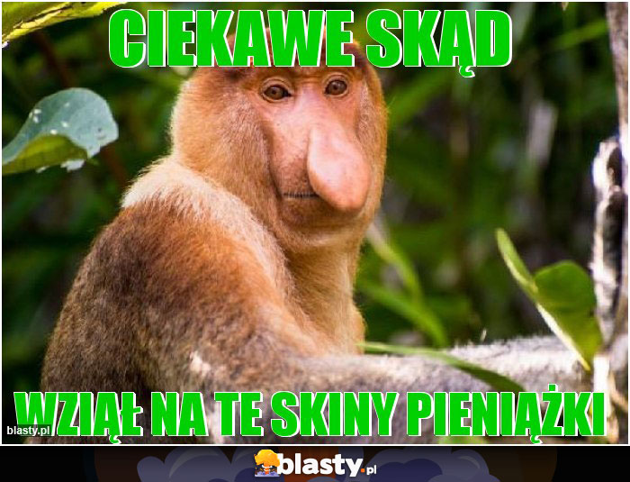 Ciekawe skąd