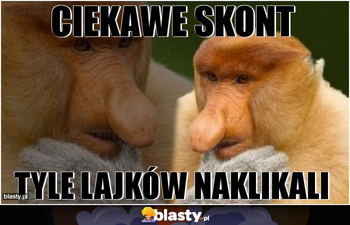 Ciekawe skont