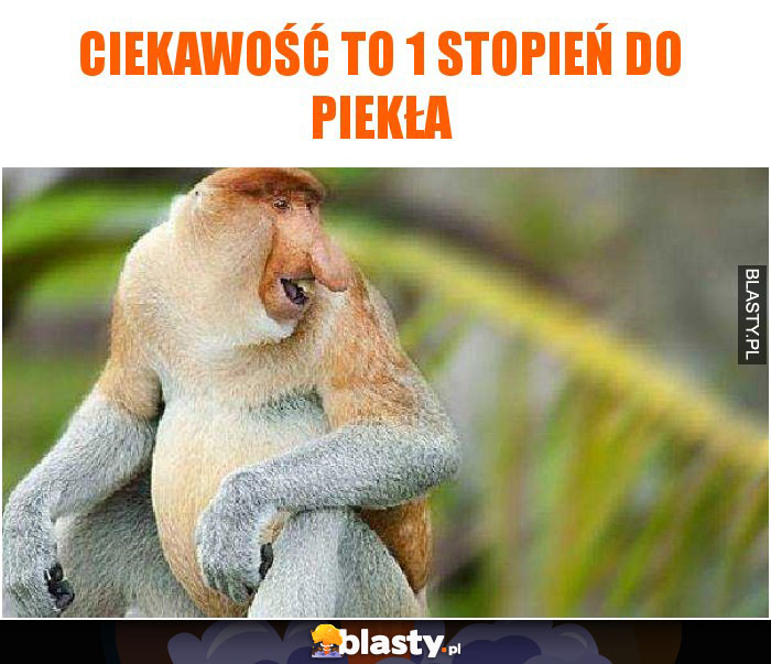 Ciekawość to 1 stopień do piekła