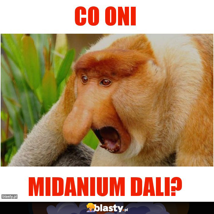 Co oni