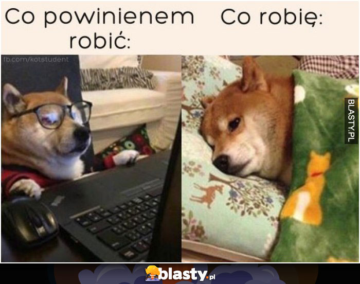 Co powinienem robić vs co robię