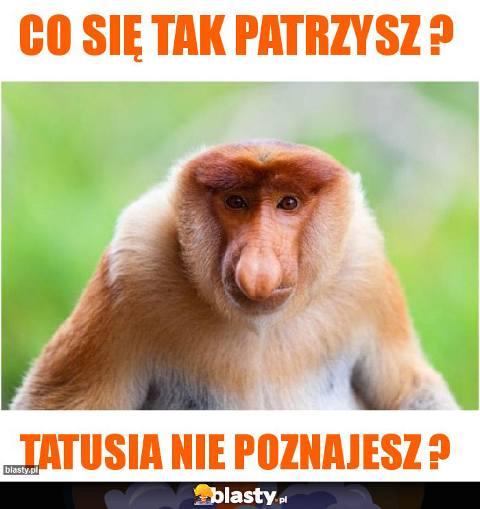 Co się tak patrzysz ?