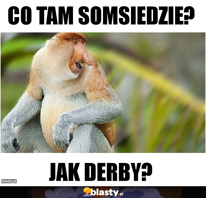 Co tam somsiedzie?