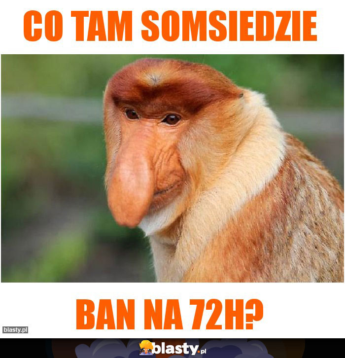 co tam somsiedzie co tam somsiedzie