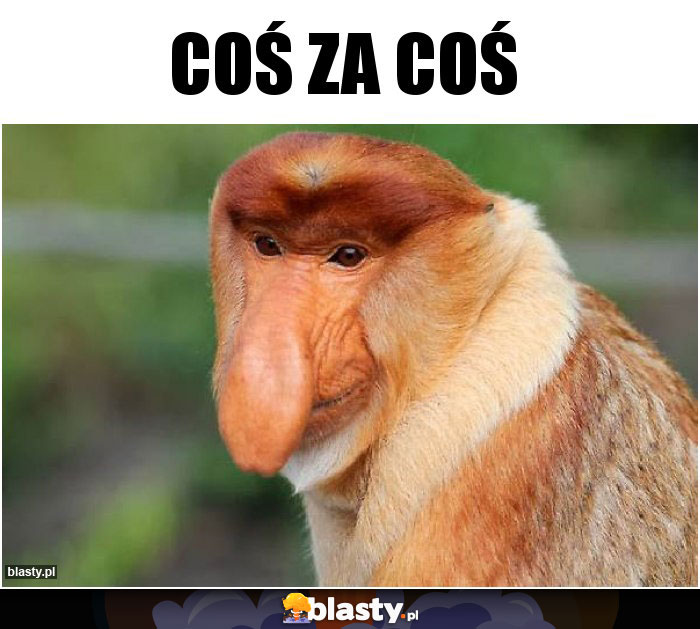Coś za coś Coś za coś