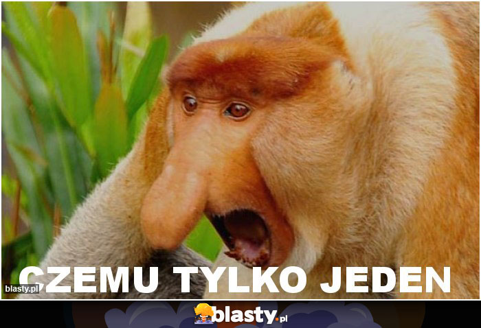 CZEMU TYLKO JEDEN