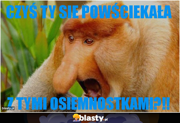 Czyś Ty sie powściekała