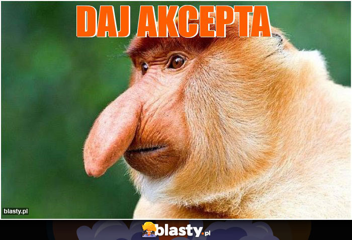 Daj akcepta