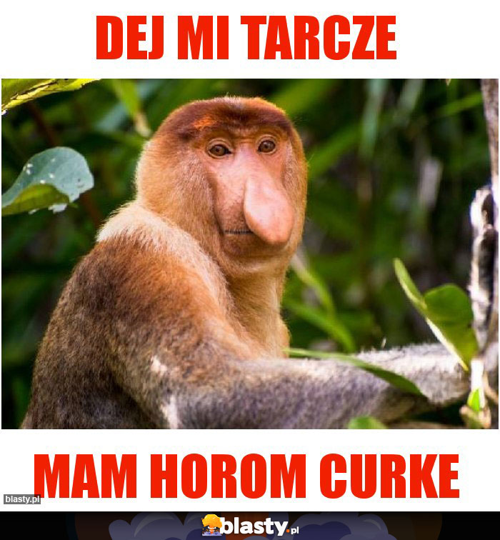 DEJ MI TARCZE