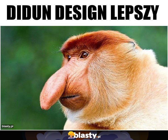 Didun design lepszy