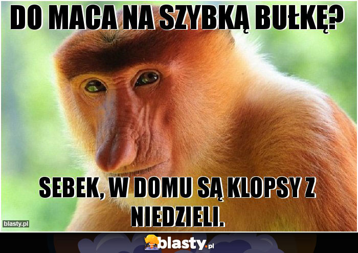 Do Maca na szybką bułkę?