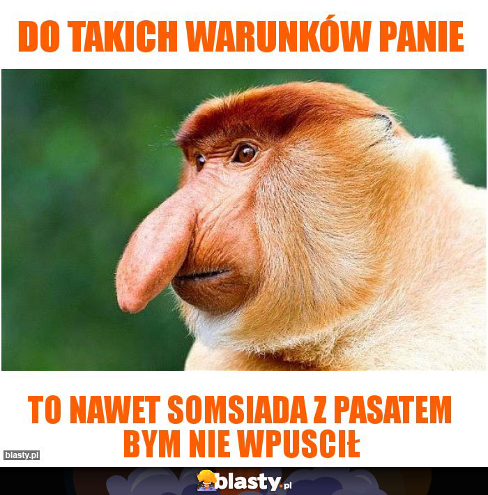 DO TAKICH WARUNKÓW PANIE
