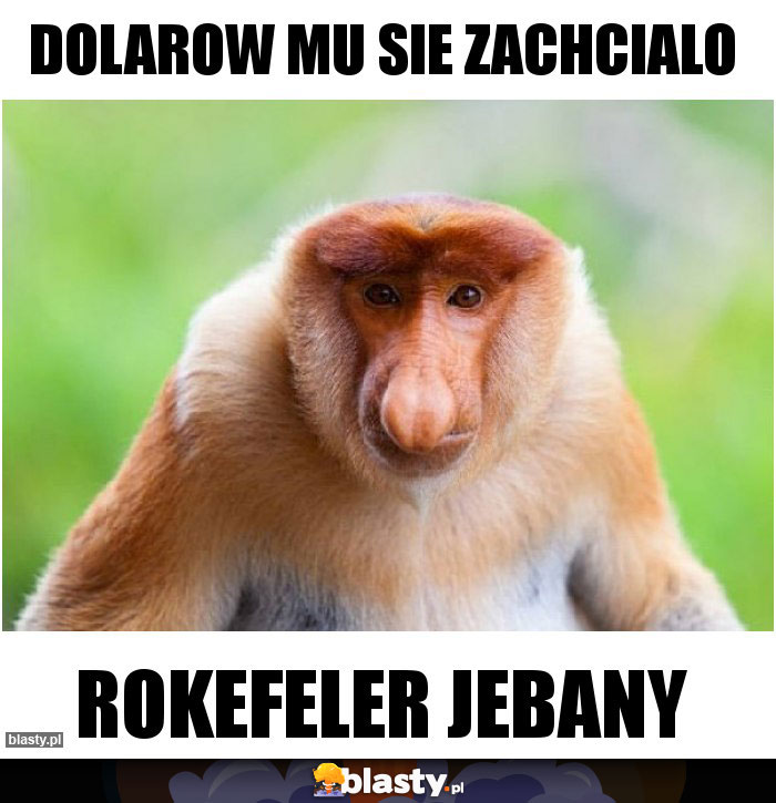 dolarow mu sie zachcialo