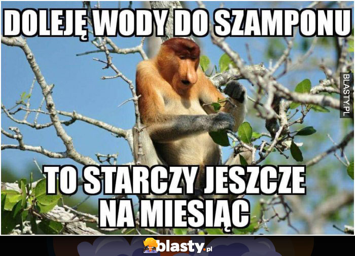 Doleję wode do szamponu