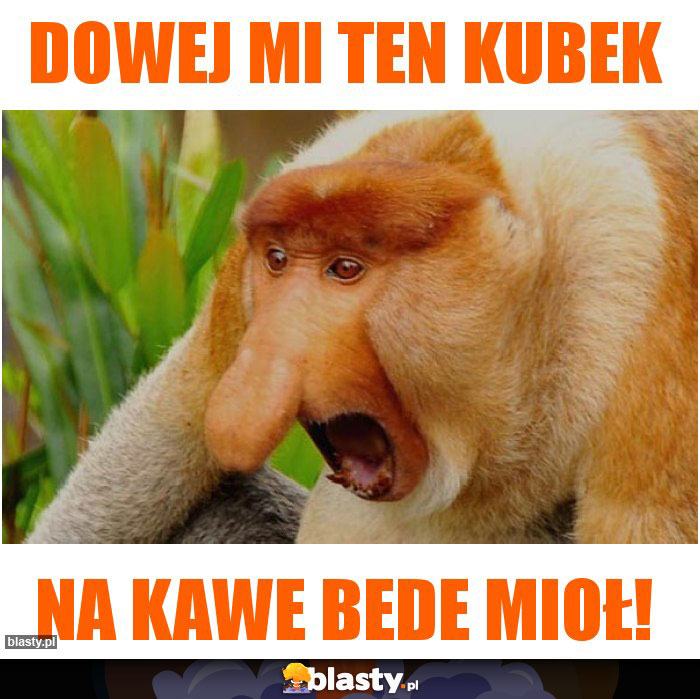 DOWEJ MI TEN KUBEK