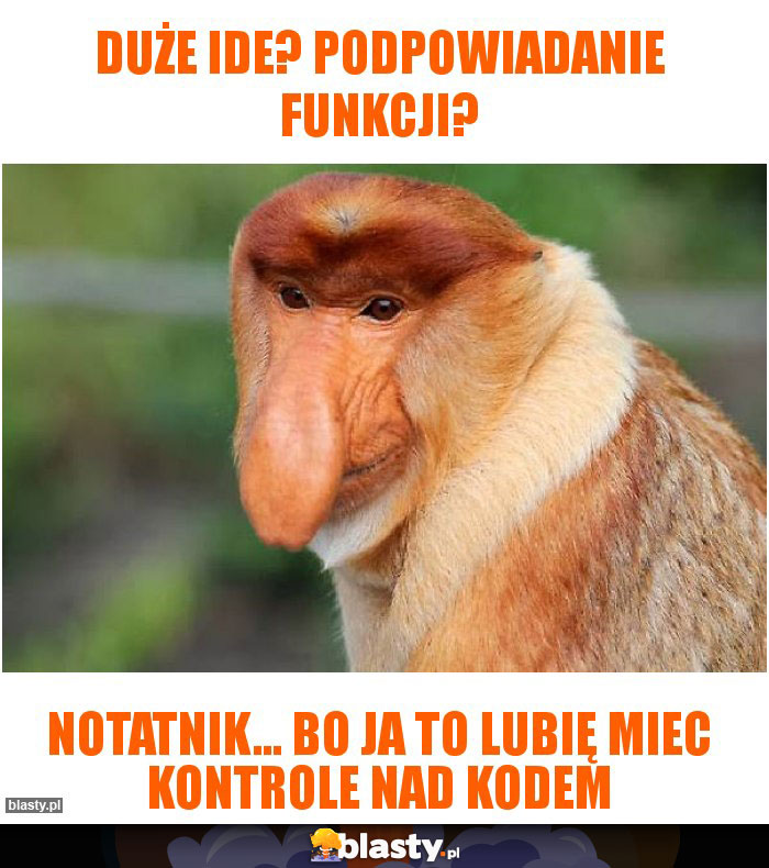 Duże IDE? Podpowiadanie funkcji?