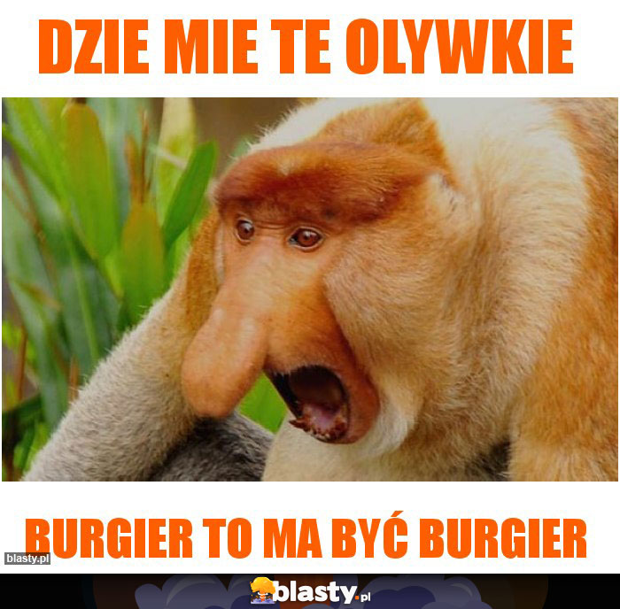 Dzie mie te olywkie