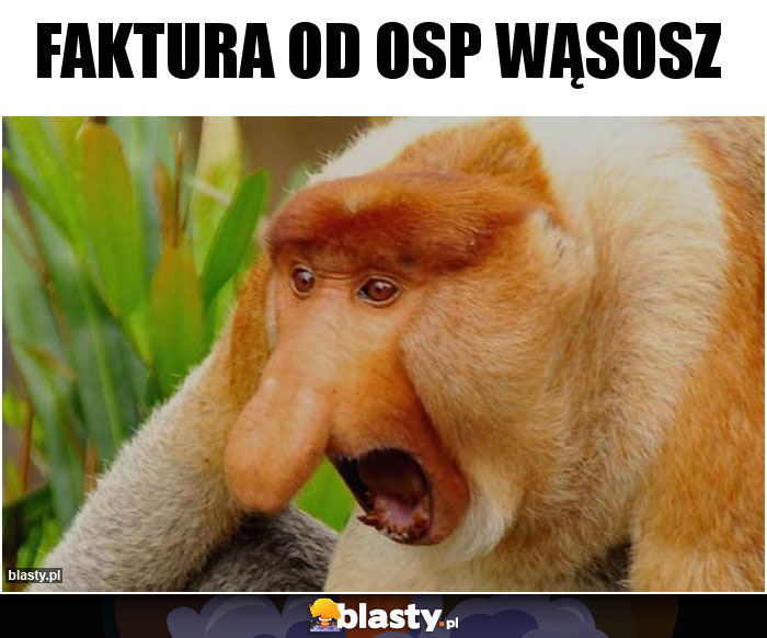 Faktura od osp wąsosz