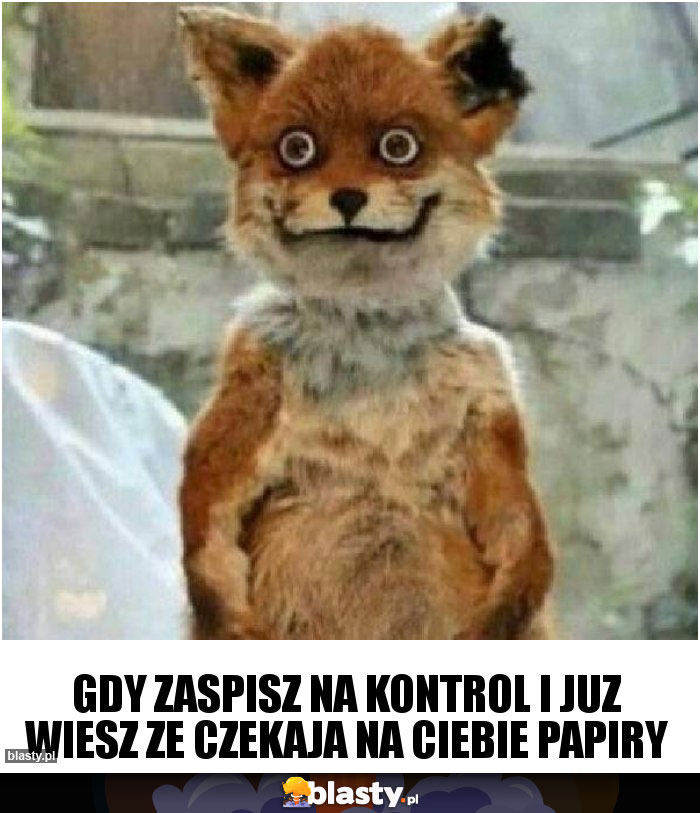 gdy zaspisz na kontrol i juz wiesz ze czekaja na ciebie papiry