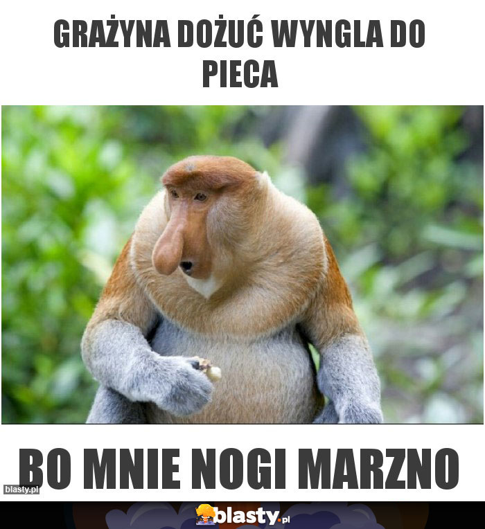 Grażyna dożuć wyngla do pieca