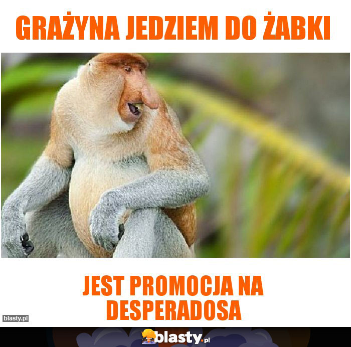 Grażyna jedziem do żabki