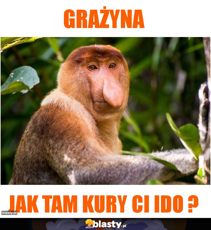 Grażyna
