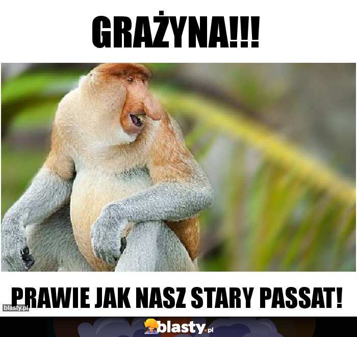 Grażyna!!!