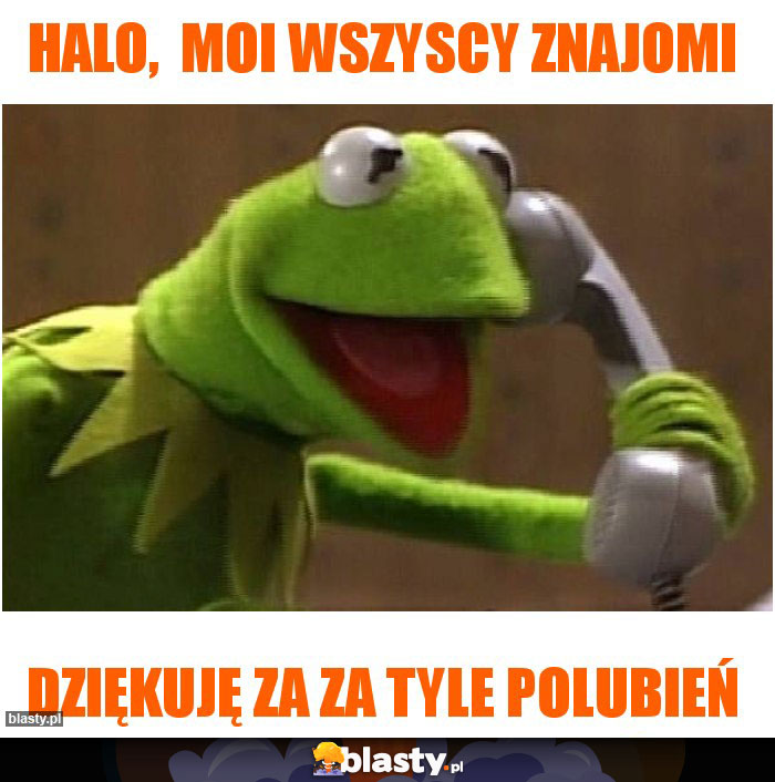 HALO,  MOI WSZYSCY ZNAJOMI