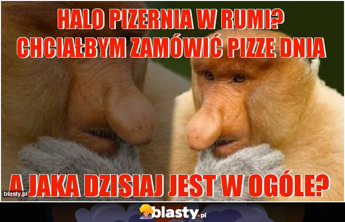Halo pizernia w rumi? Chciałbym zamówić pizze dnia