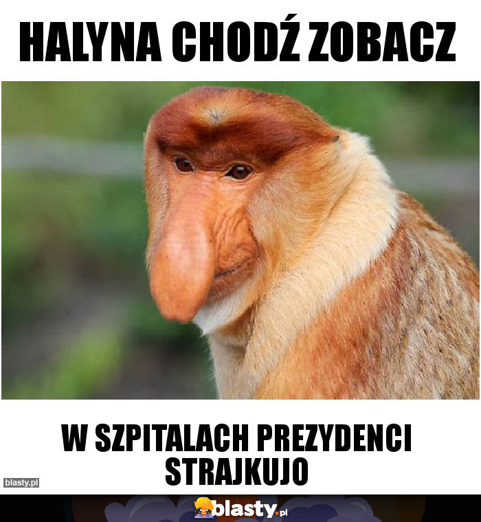 Halyna chodź zobacz