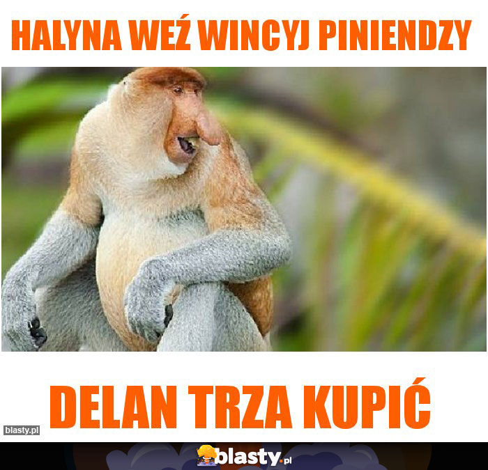 Halyna weź wincyj piniendzy