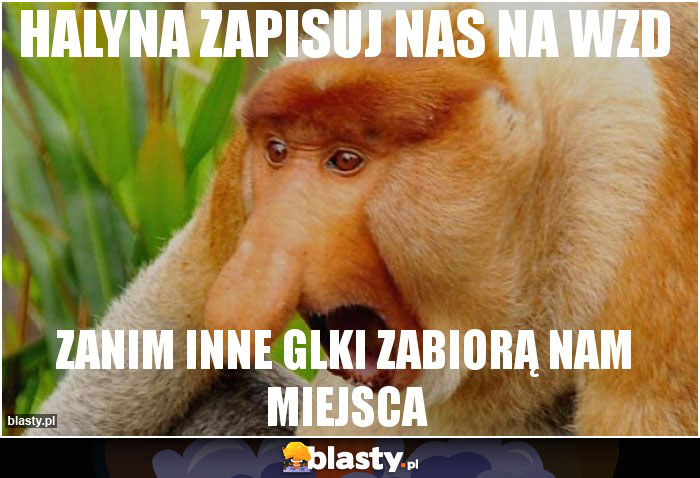 Halyna zapisuj nas na WZD