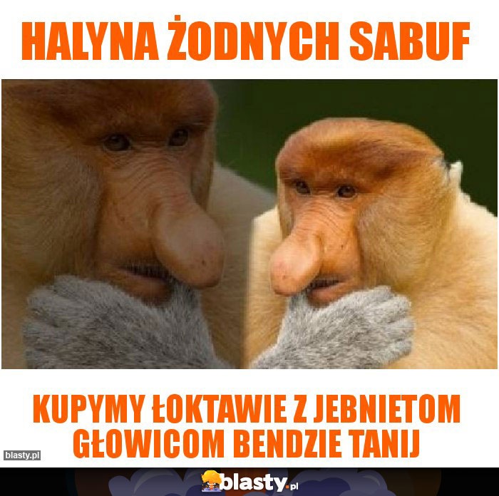 Halyna ŻODNYCH SABUF