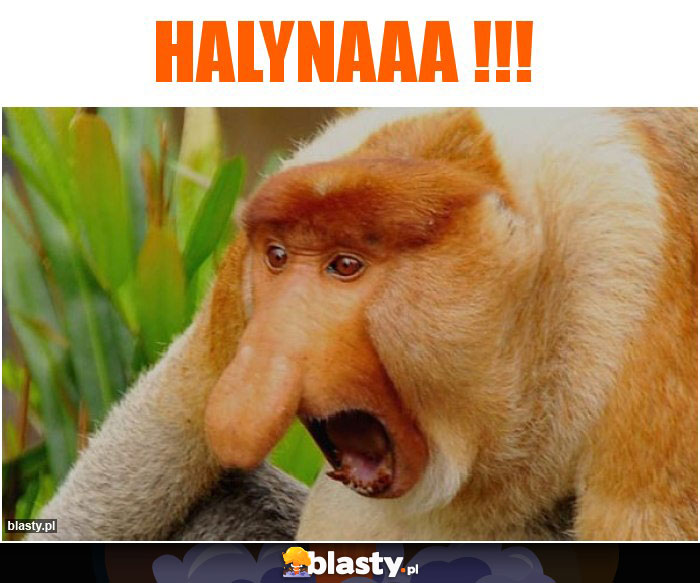 Halynaaa !!!