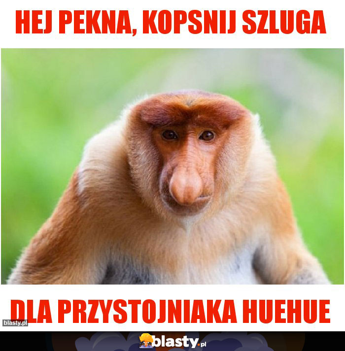 Hej pekna, kopsnij szluga