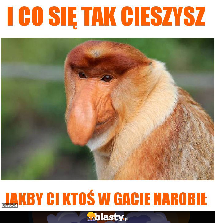 I Co się tak cieszysz