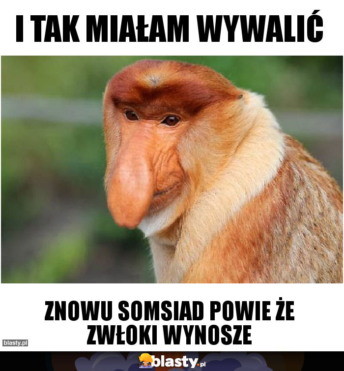 I tak miałam wywalić