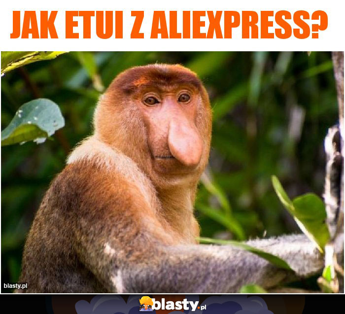 Jak etui z aliexpress?