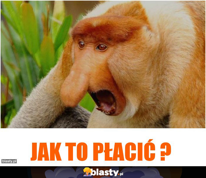 Jak to płacić ?