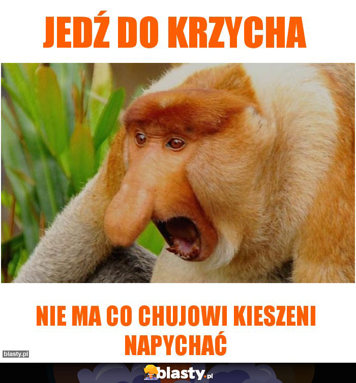 Jedź do krzycha