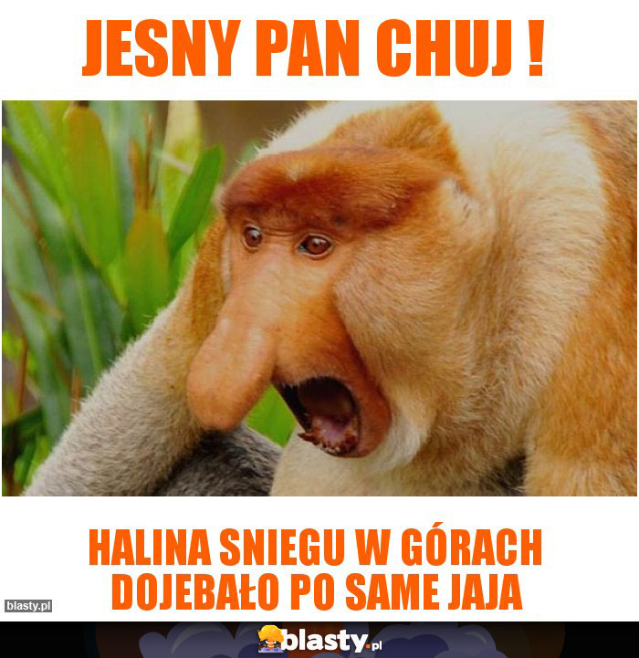 Jesny pan chuj !