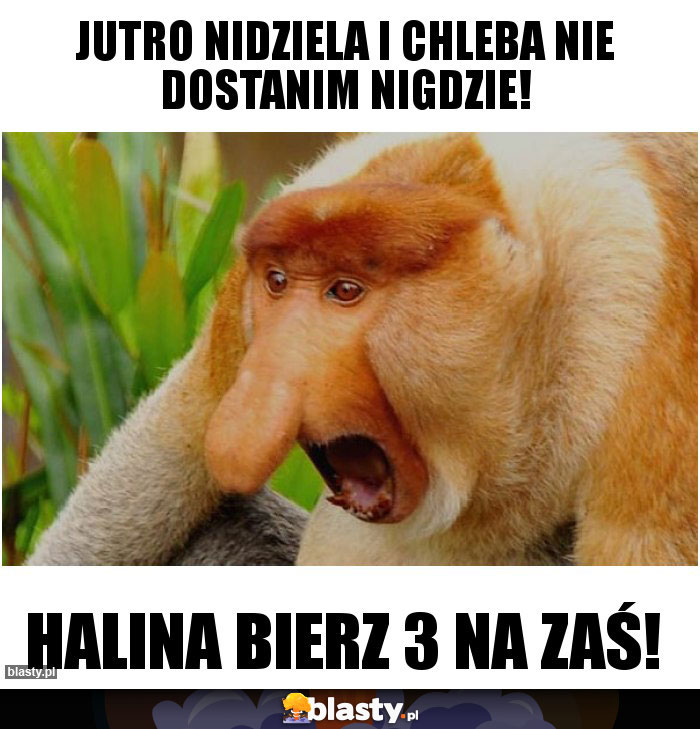 jutro nidziela i chleba nie dostanim nigdzie!