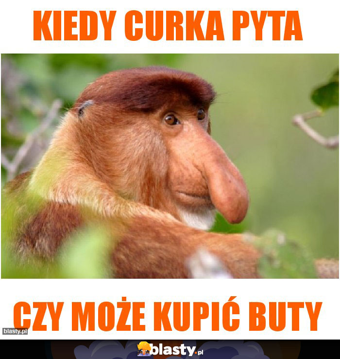 Kiedy curka pyta