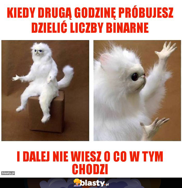 Kiedy drugą godzinę próbujesz dzielić liczby binarne