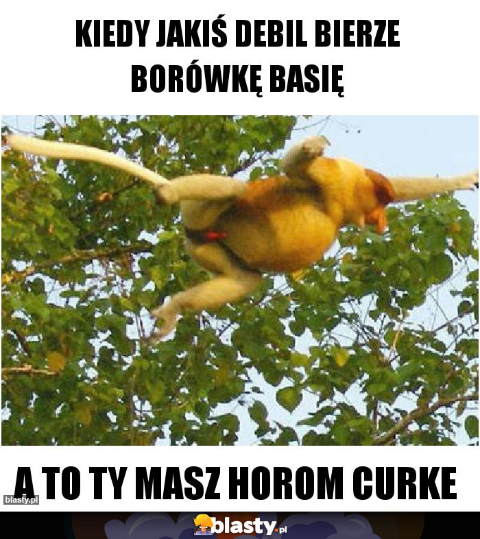 Kiedy jakiś debil bierze borówkę Basię